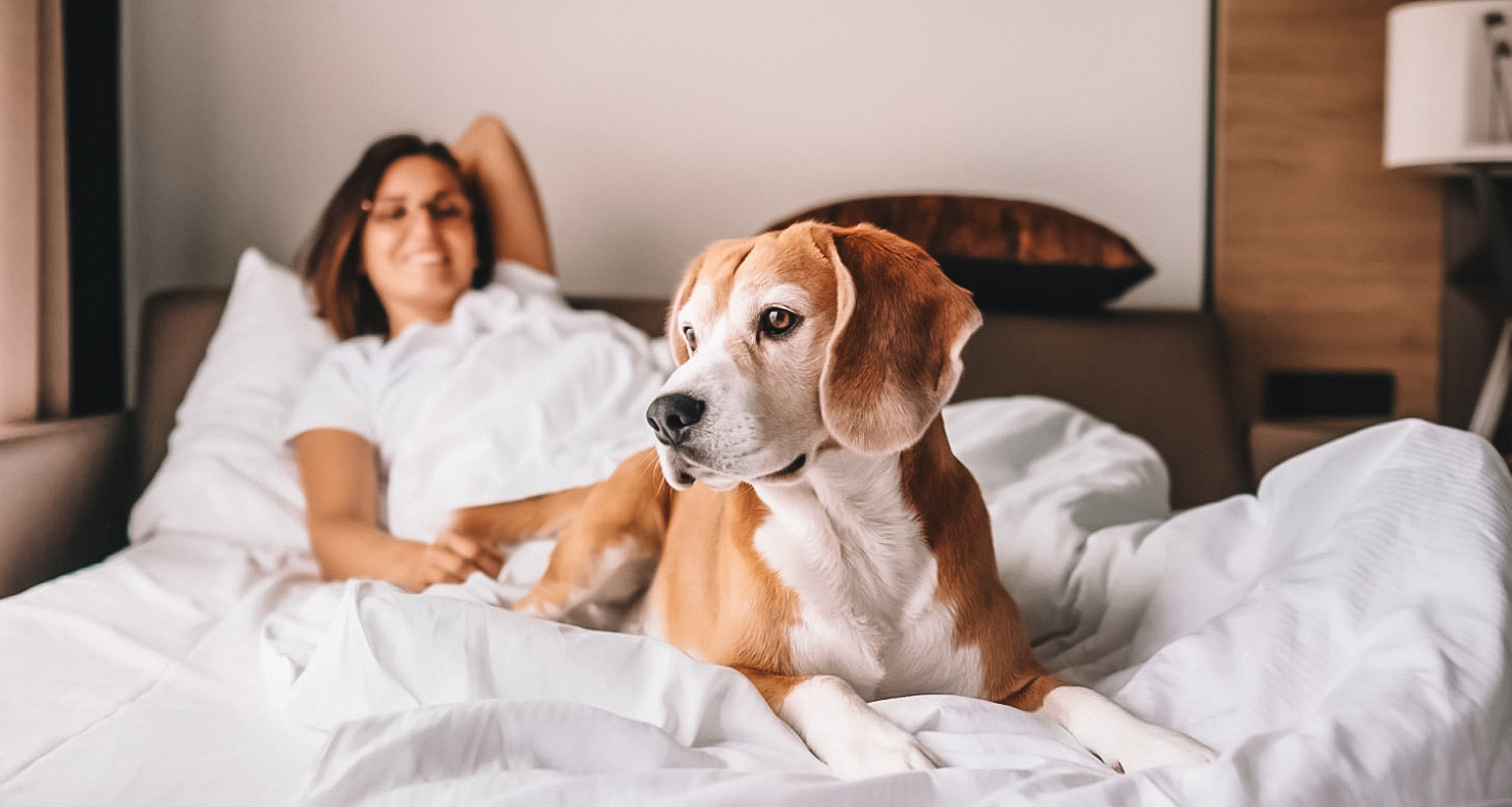 pousadas pet-friendly em Santa Catarina
