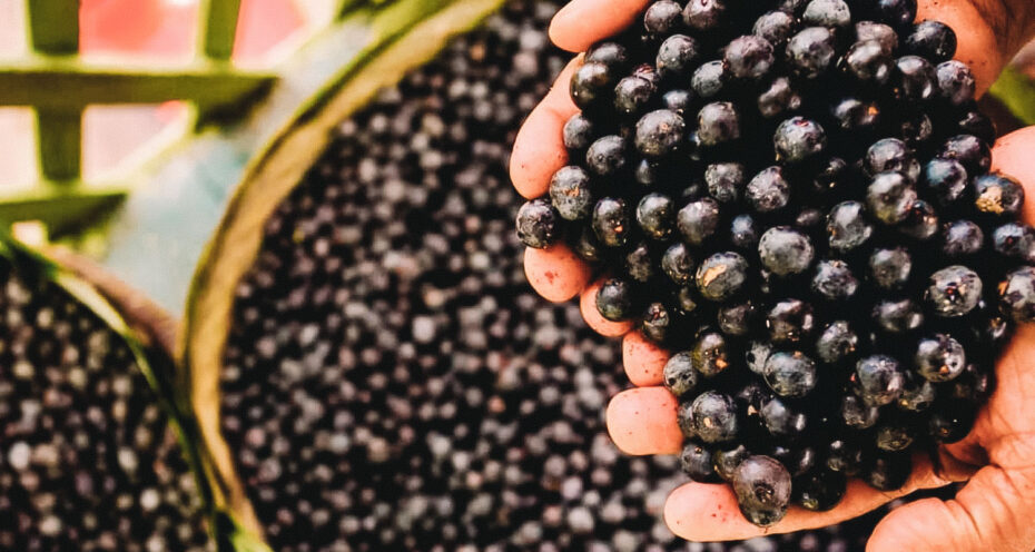 frutas originárias da amazônia
