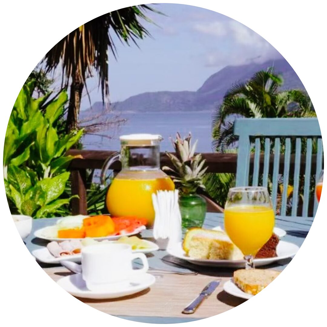 Pousadas pet friendly em Ilhabela