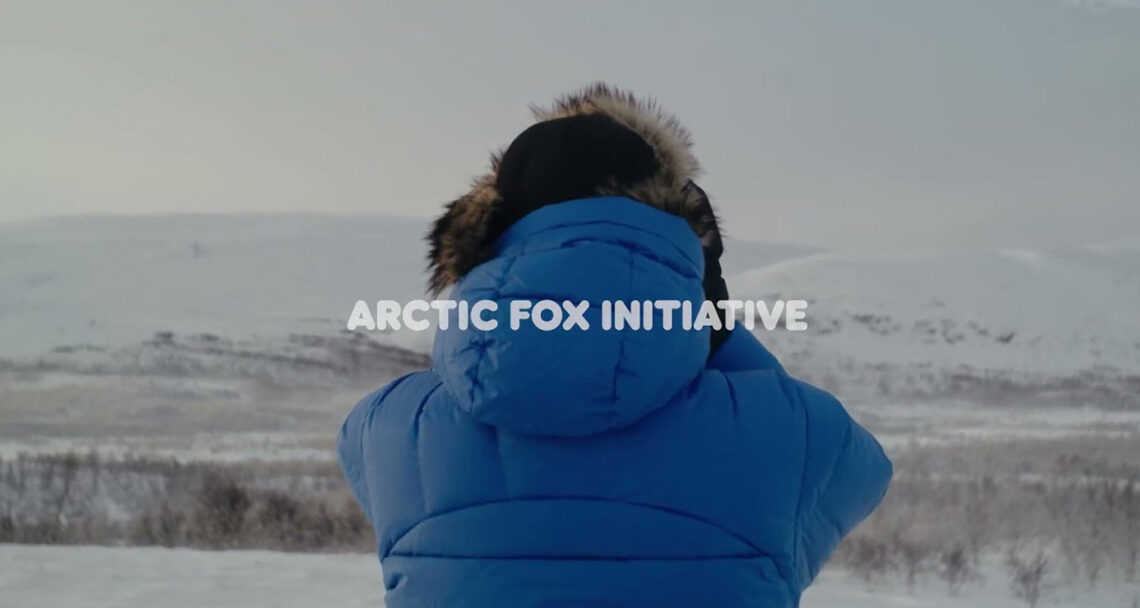 tudo sobre a iniciativa Arctic Fox Fjallraven