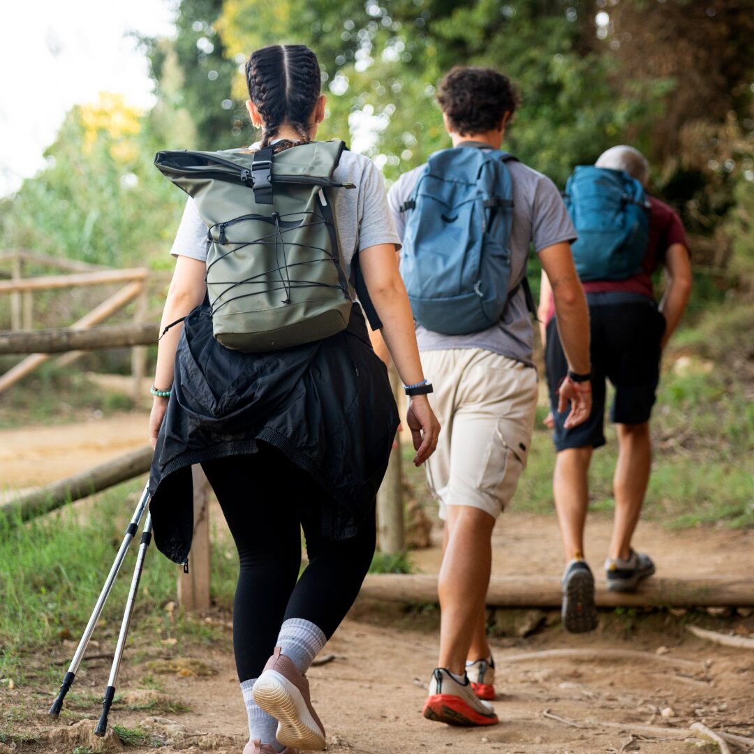 Quais são os tipos de viajantes?