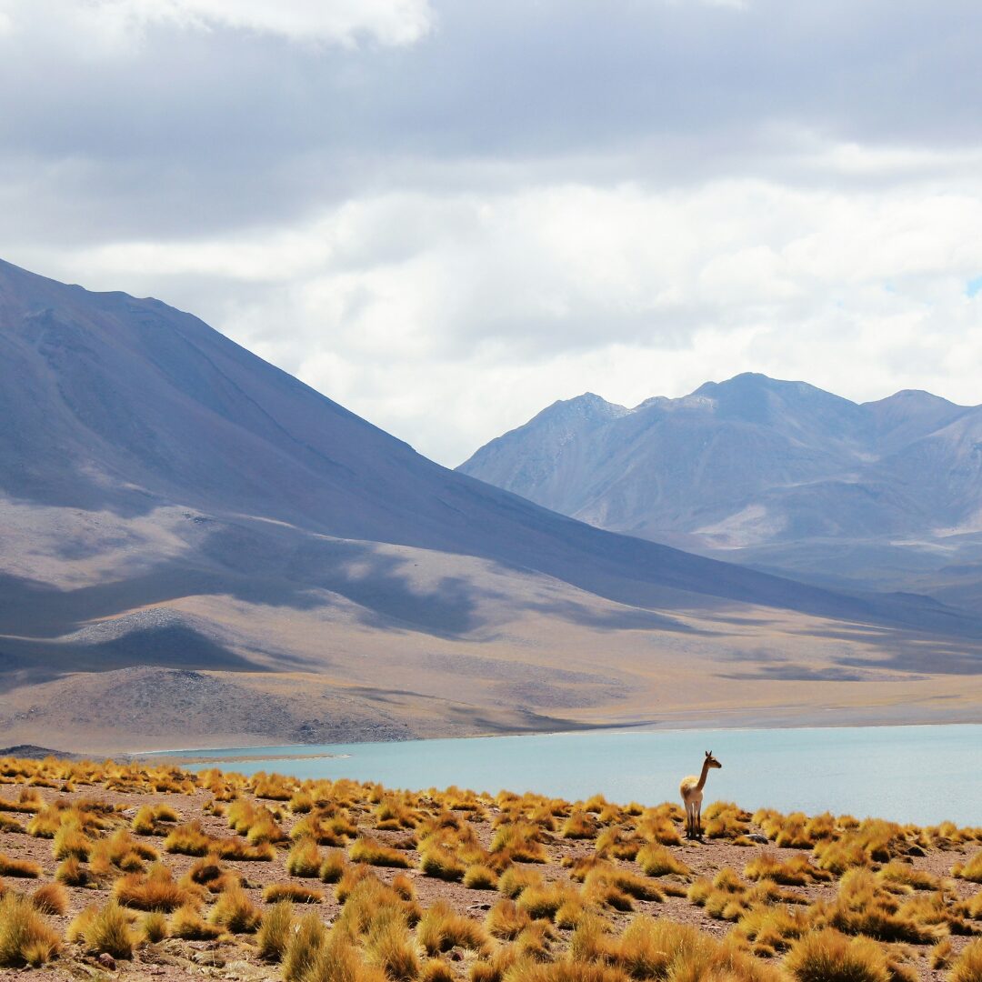 Melhor época para ir ao Deserto do Atacama