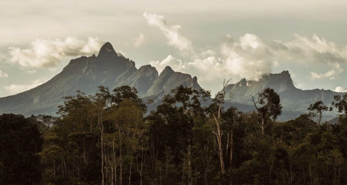 Pico da Neblina, o ponto mais alto do Brasil