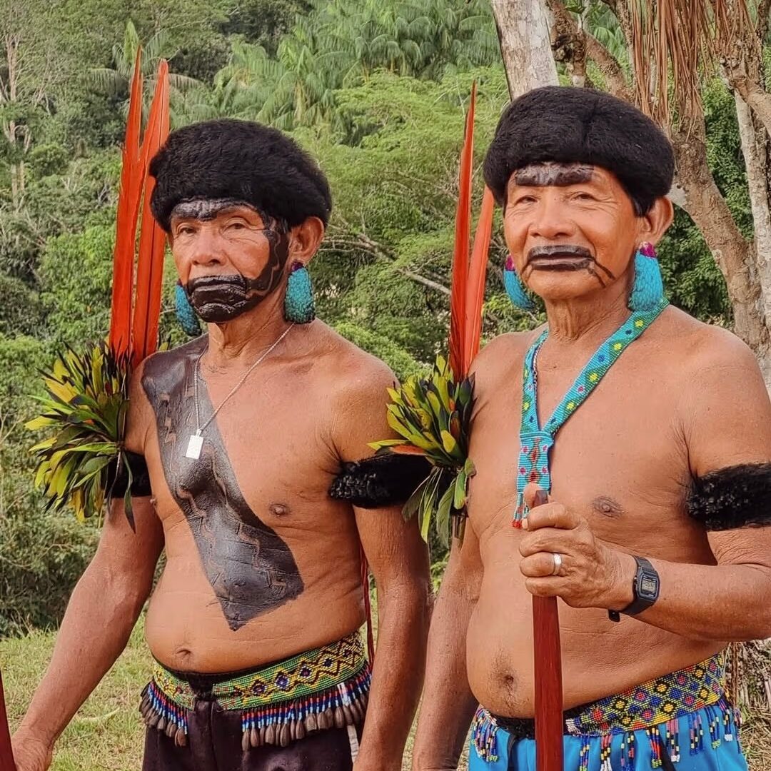 Indígenas Yanomami, Pico da Neblina