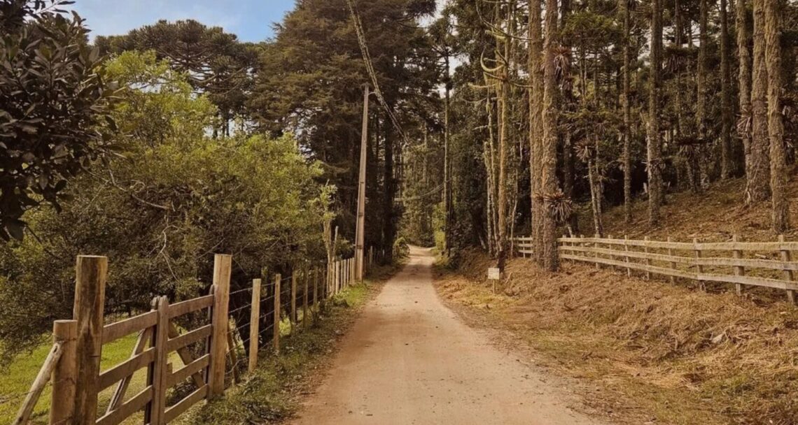 Caminho Velho, Estrada Real
