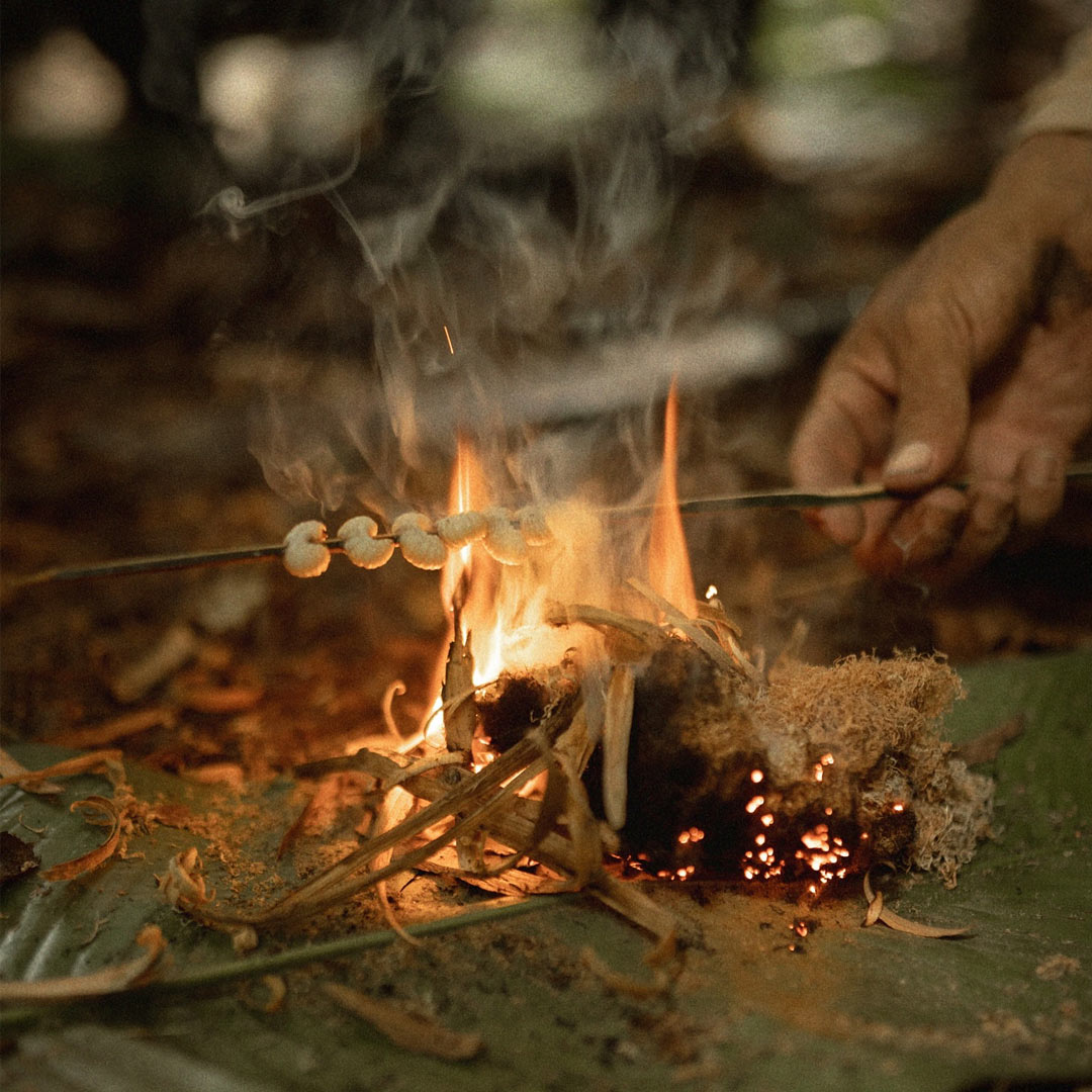 riqueza da amazonia