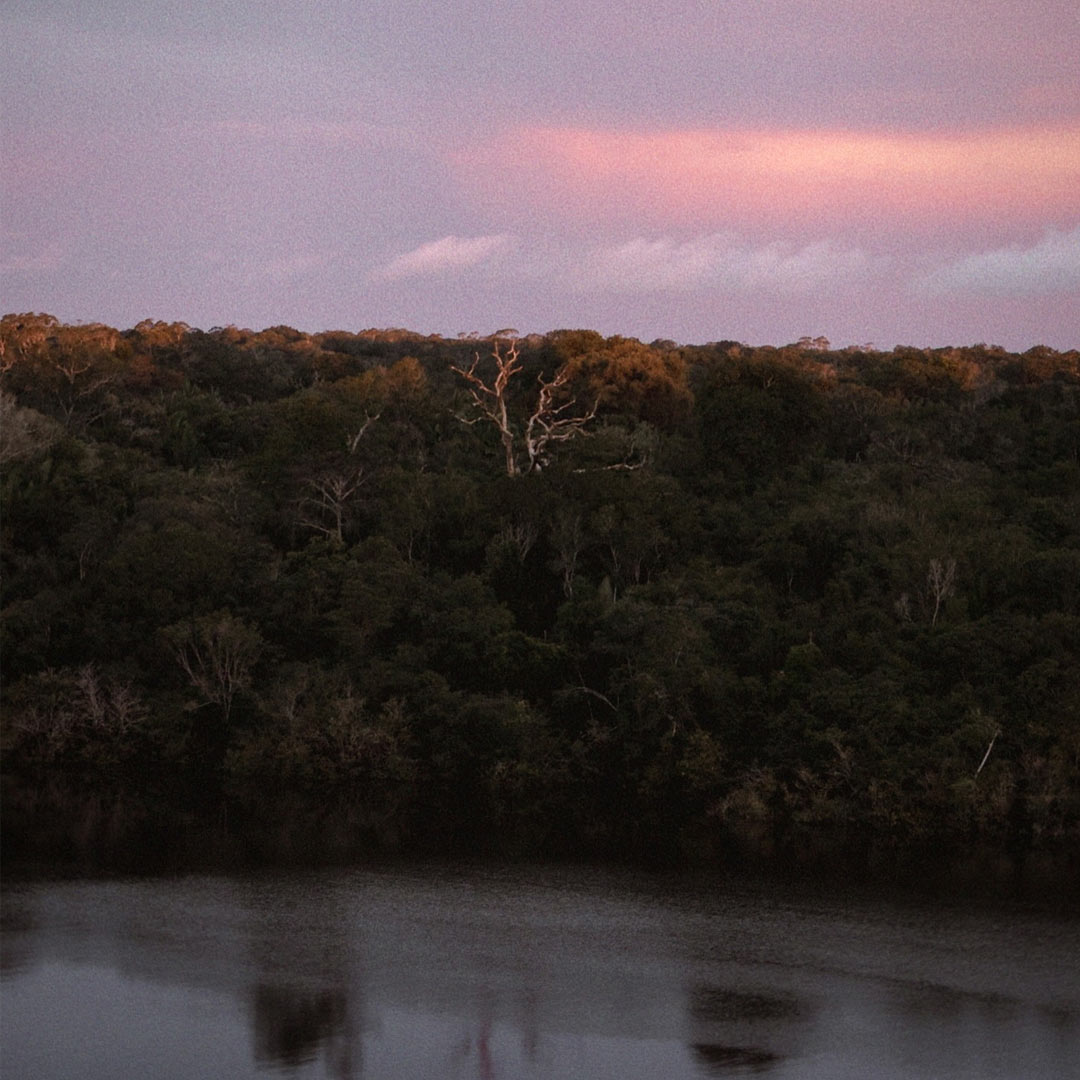 final de tarde na amazonia