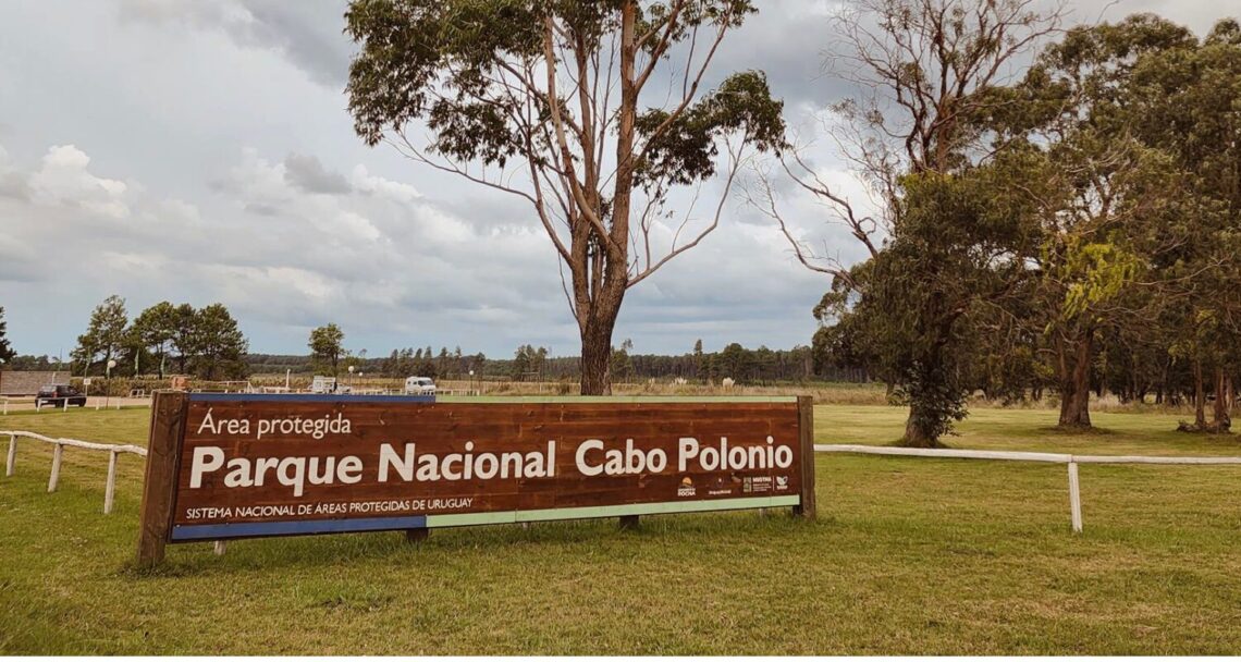 Parque Nacional de Cabo Polonio, Uruguai