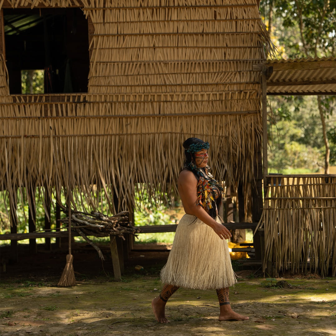 povos da amazonia