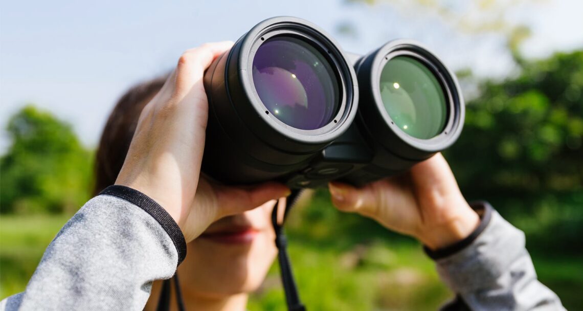 guia de boas práticas para birdwatching no brasil