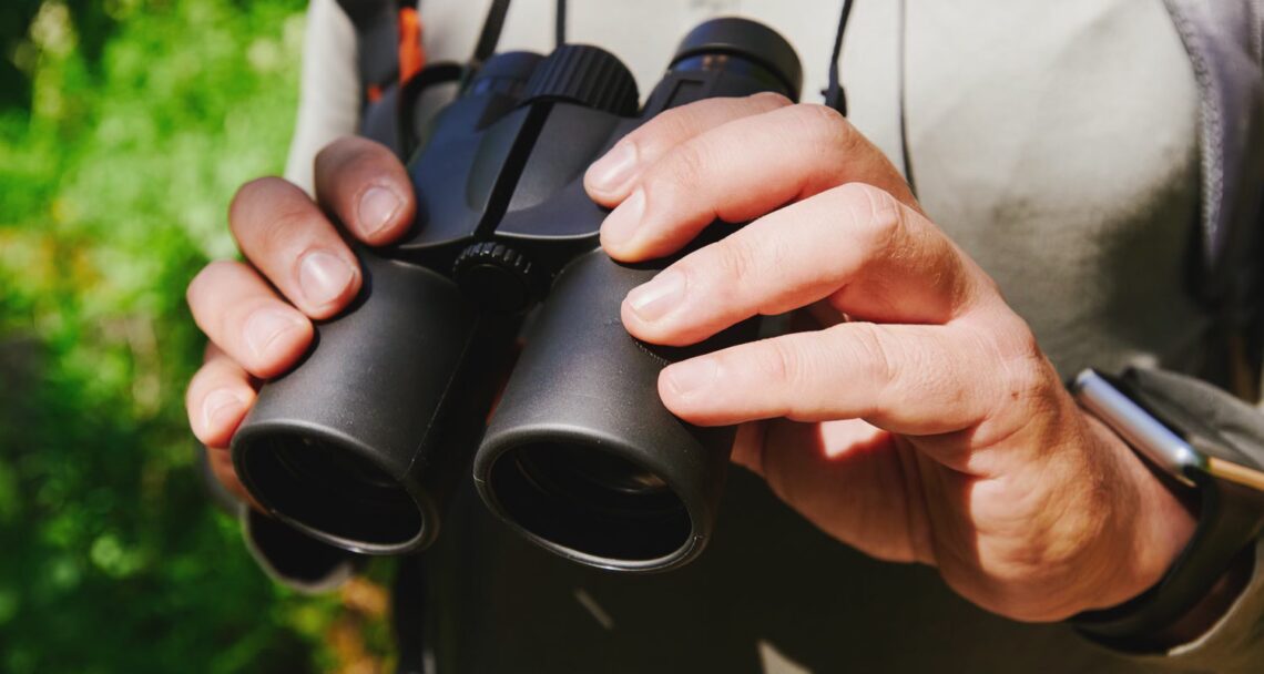 como fazer birdwatching no brasil