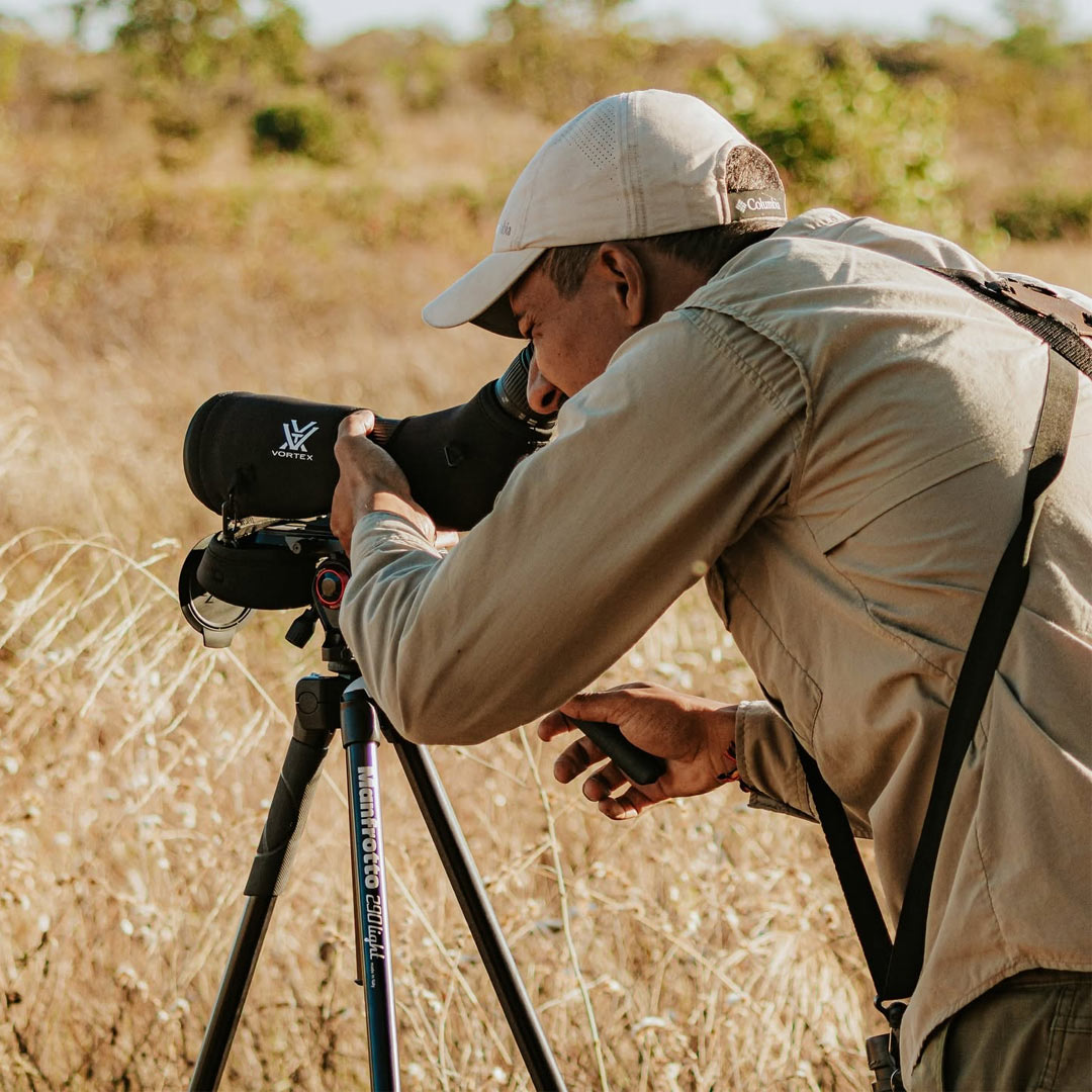 birdwatching na pousada trijunção