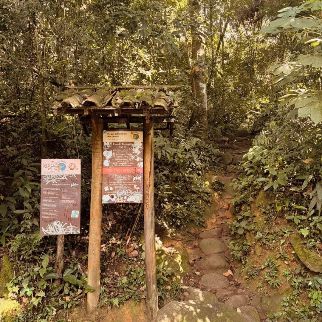 Início trilha Pico do Papagaio
