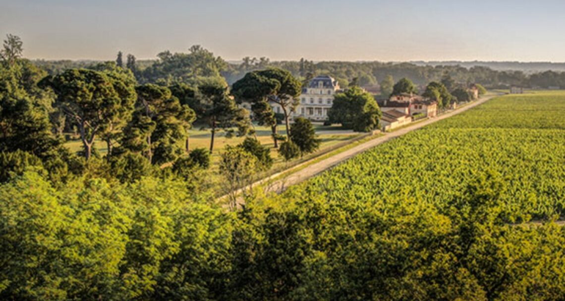 vinícolas em Bordeaux