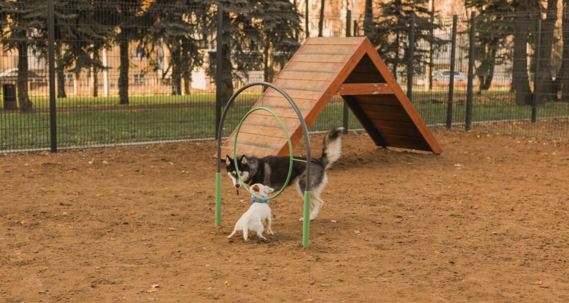 Parque pet-friendly Santos