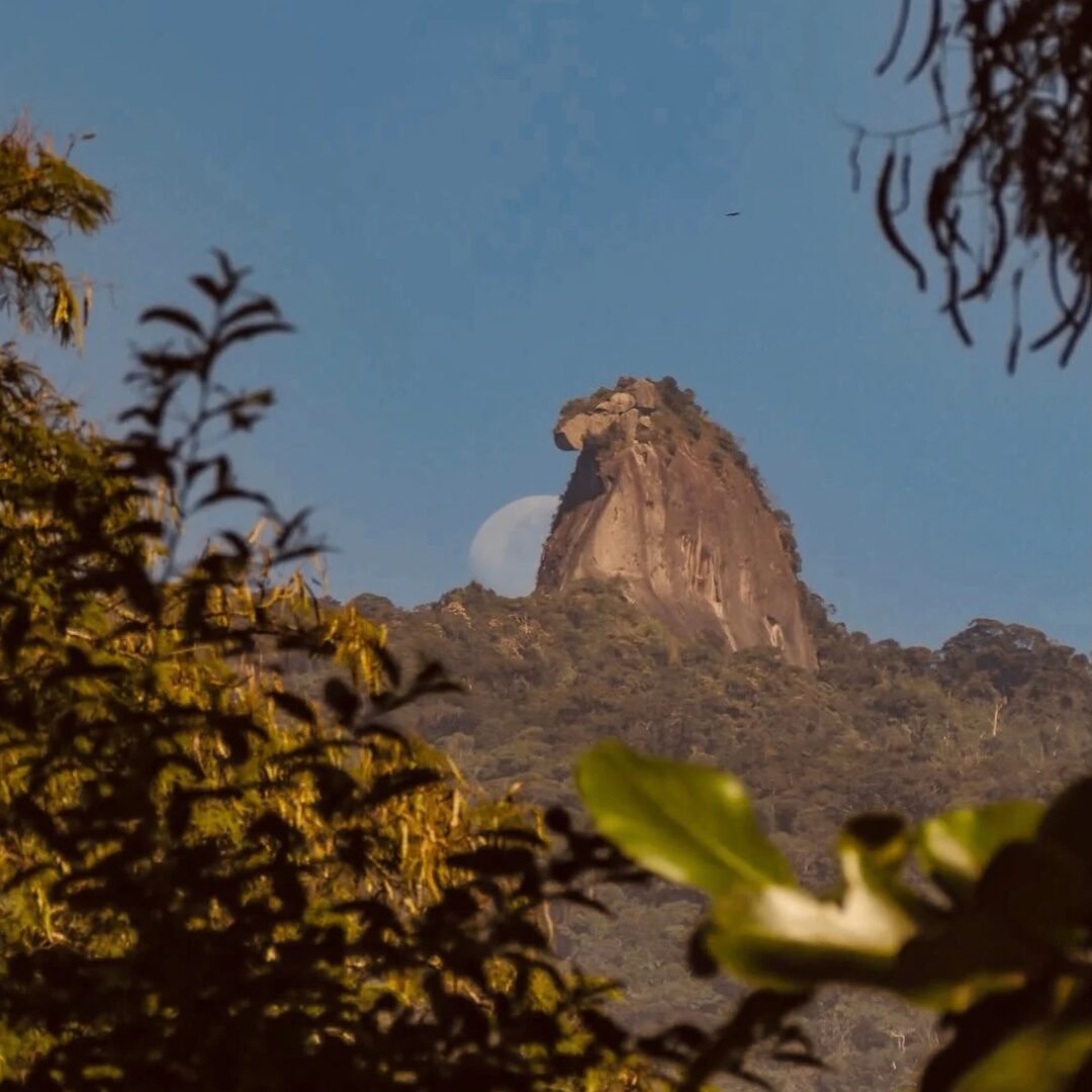 Pico do Papagaio, Ilha Grande