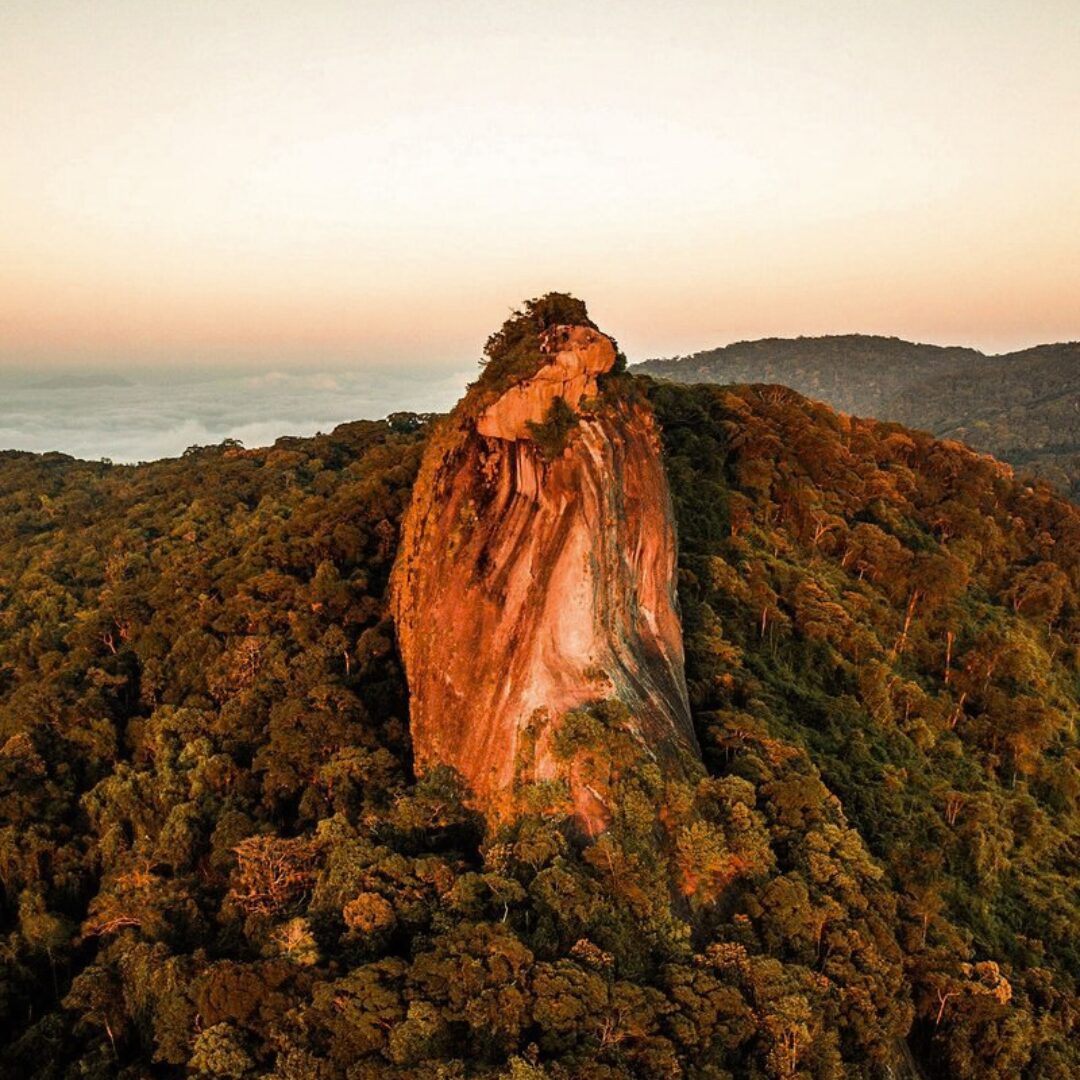 Pico do Papagaio, Ilha Grande